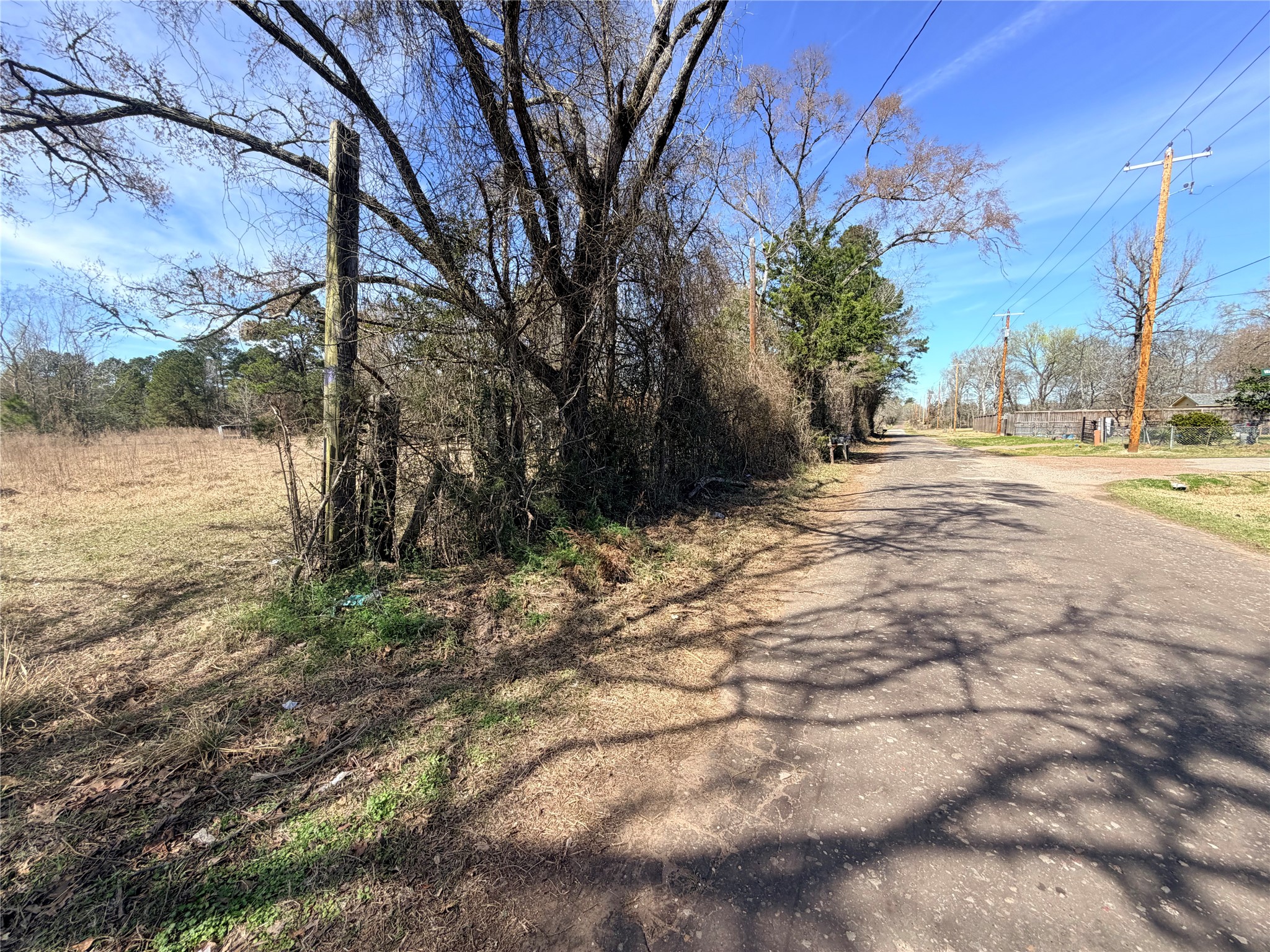 919 Pine Valley Road Diboll, TX 75941 - Photo 44 of 49 a view of a yard with an trees
