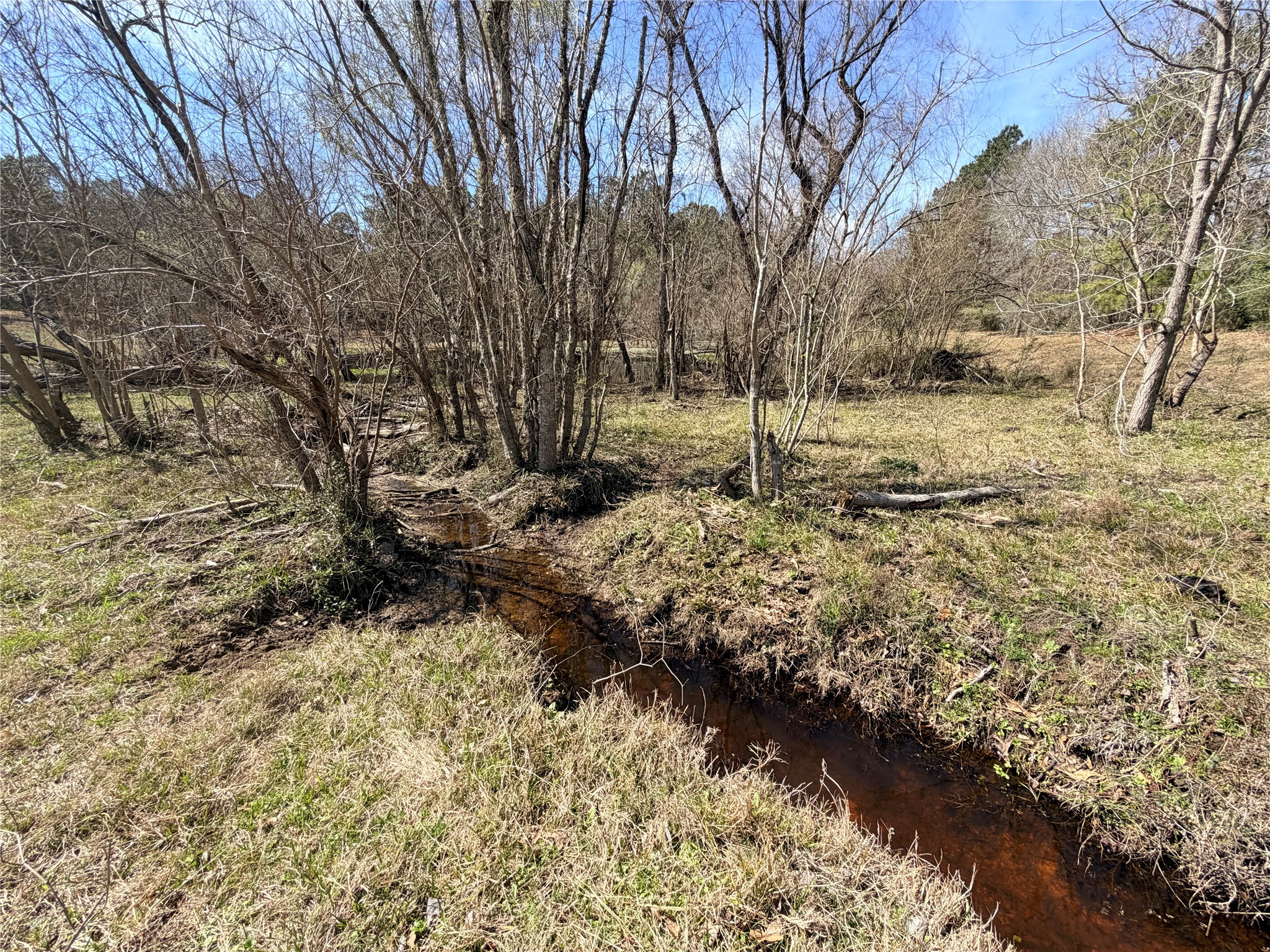 919 Pine Valley Road Diboll, TX 75941 - Photo 46 of 49 a view of yard covered with snow