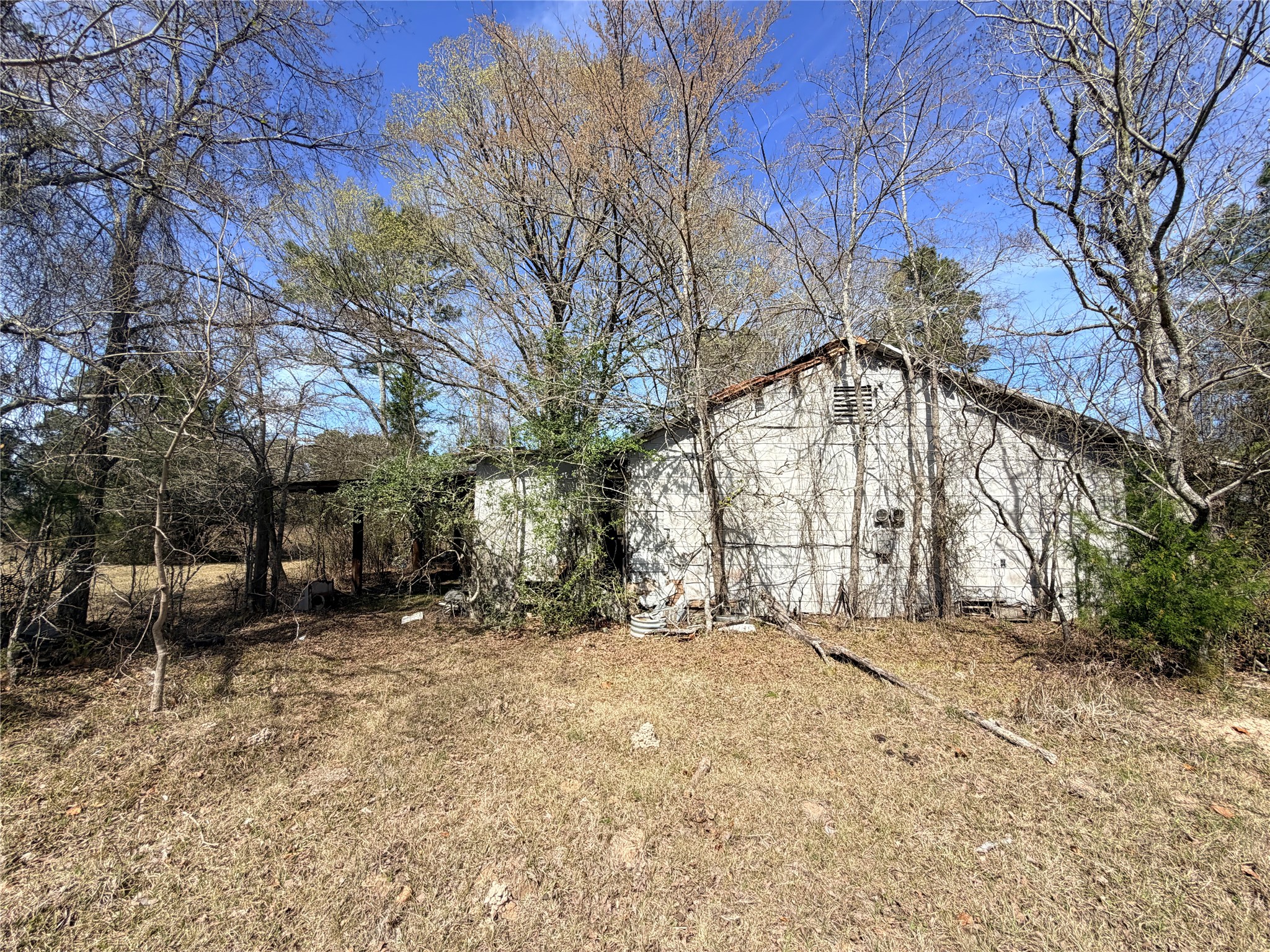 919 Pine Valley Road Diboll, TX 75941 - Photo 5 of 49 a view of large trees with a snow