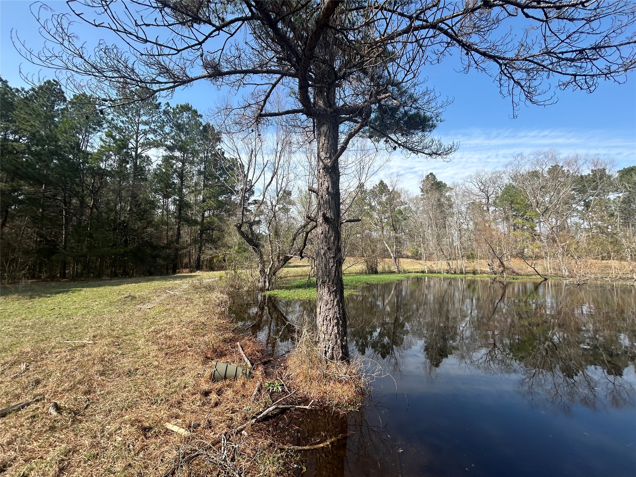 919 Pine Valley Road Diboll, TX 75941 - Photo 10 of 49 a view of a yard next to a house