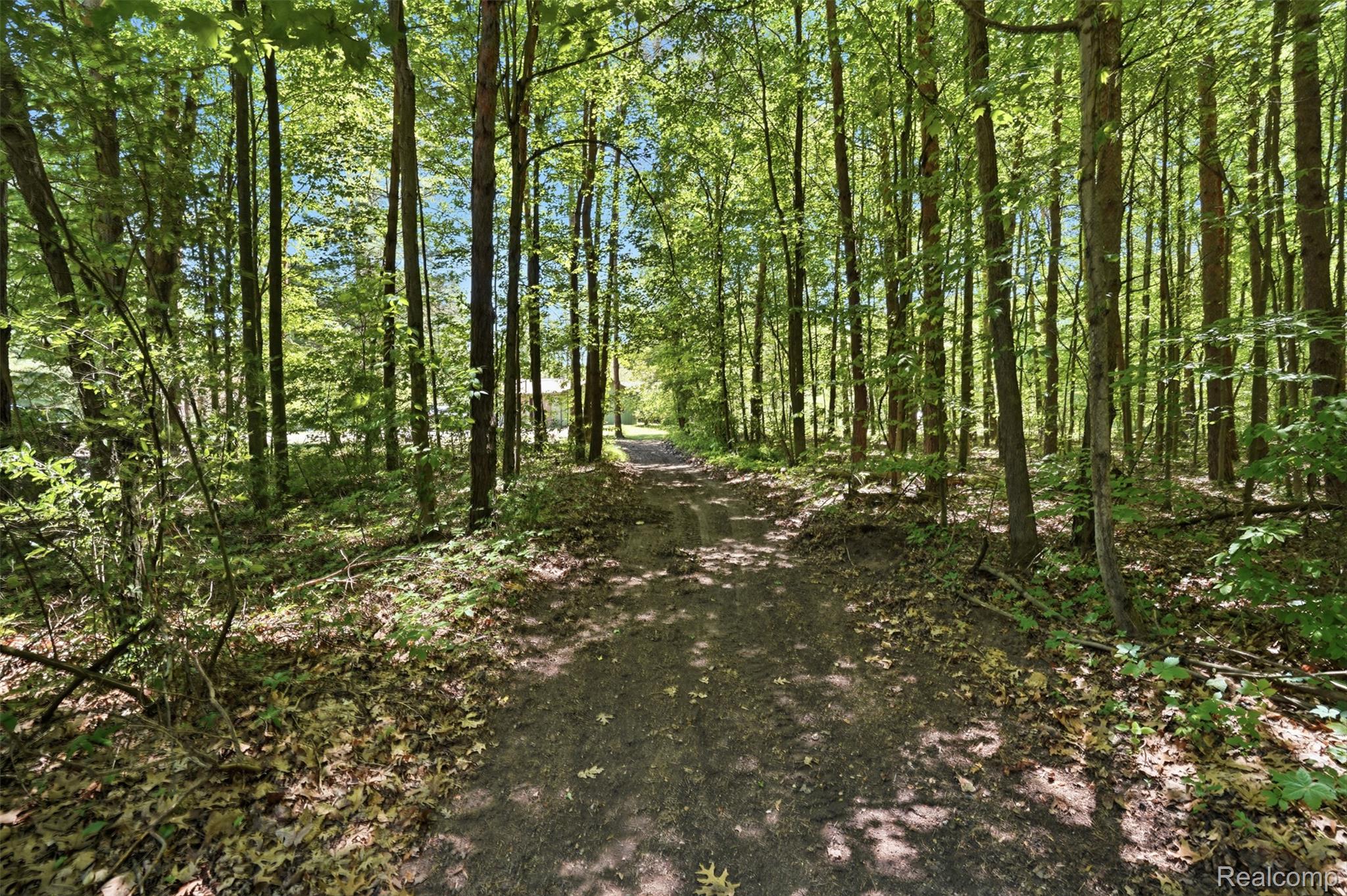 3167 Roods Lake Road Lapeer, MI 48446 - Photo 31 of 38 Wooded pathway framed by mature trees, featuring dappled sunlight, a natural ground covering, and a serene outdoor setting.
