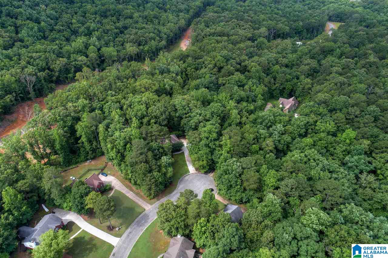 135 Brynhurst Drive Chelsea, AL 35043 - Photo 35 of 37
