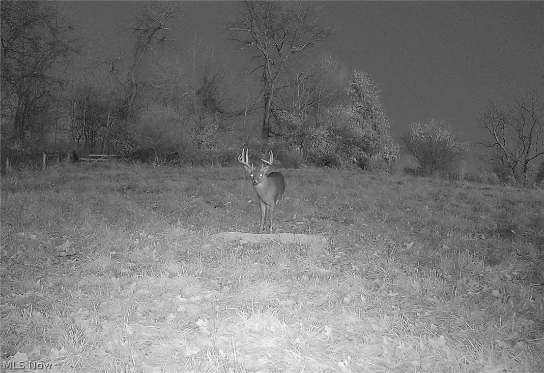 427 Township Road Coshocton, OH 43812 - Photo 45 of 50 Gallery Image 45