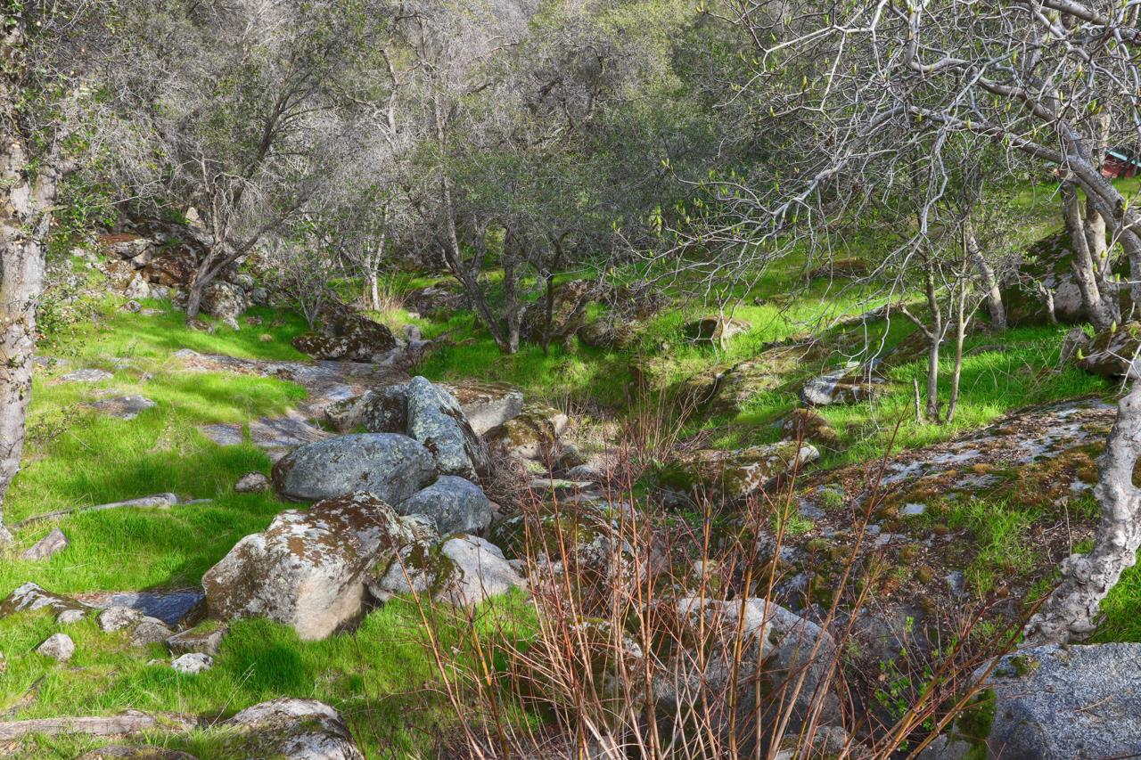 44755 Savage Road Coarsegold, CA 93614 - Photo 41 of 70