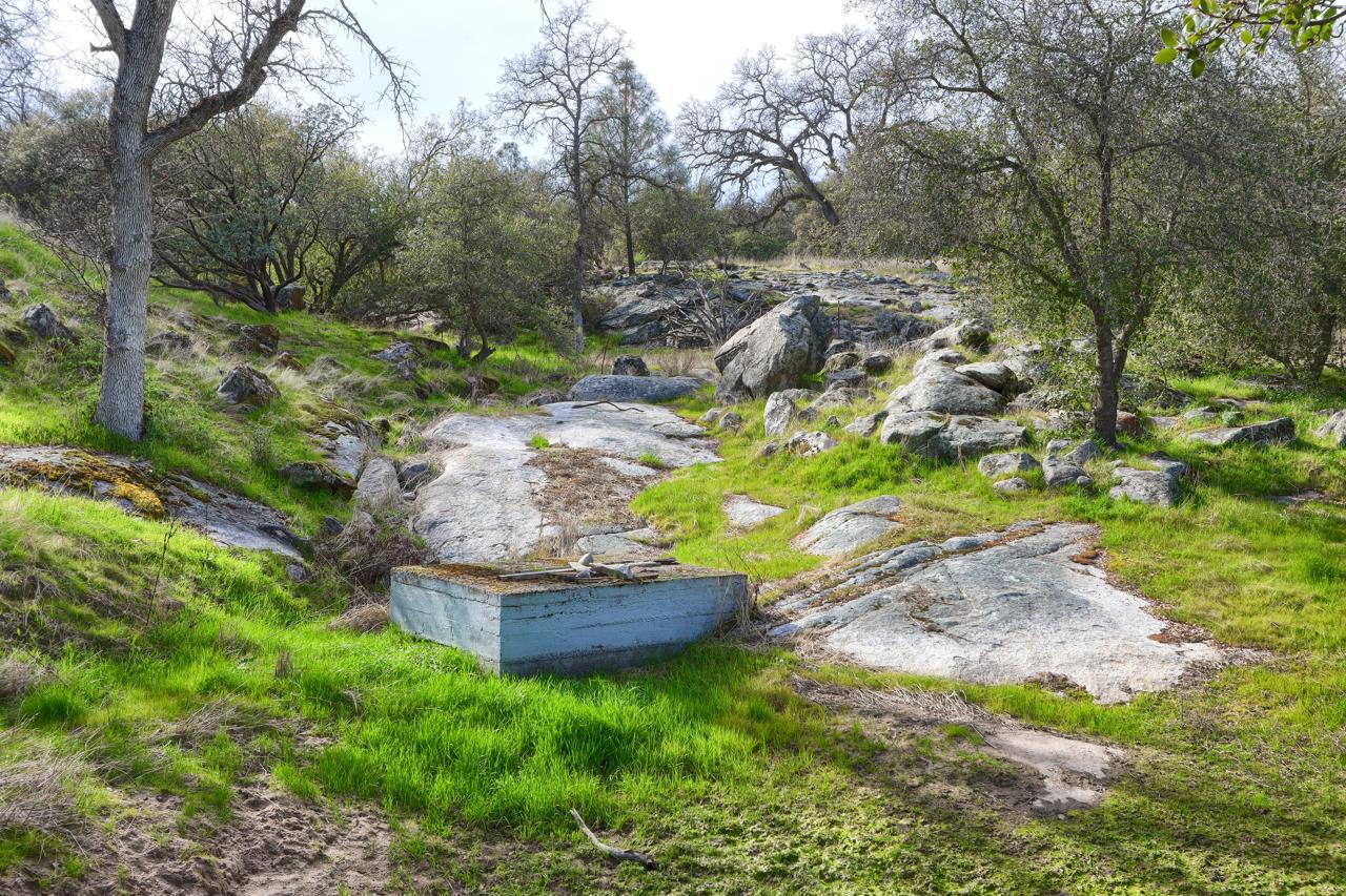 44755 Savage Road Coarsegold, CA 93614 - Photo 42 of 70