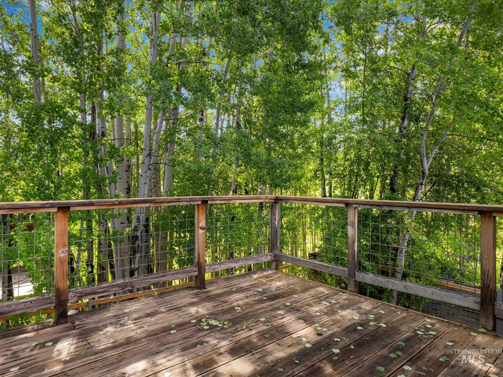 1658 Timber Circle McCall, ID 83638 - Photo 42 of 45