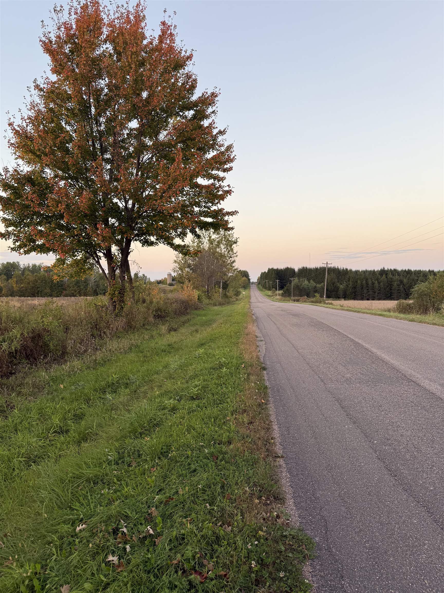 Lot 3 Eau Claire River Road Ringle, WI 54471 - Photo 8 of 19