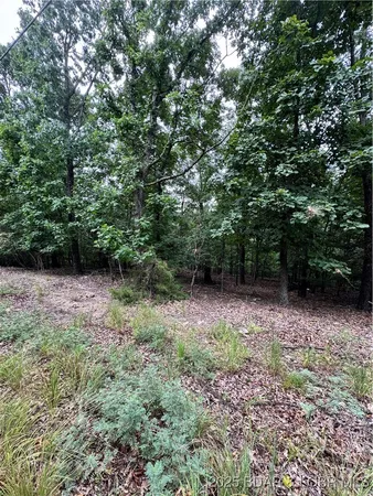$59,900 | Tbd Wavy Leaf Road, Linn Creek, MO 65052