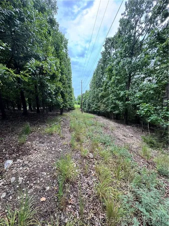$59,900 | Tbd Wavy Leaf Road, Linn Creek, MO 65052