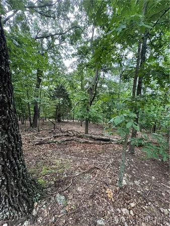 $59,900 | Tbd Wavy Leaf Road, Linn Creek, MO 65052