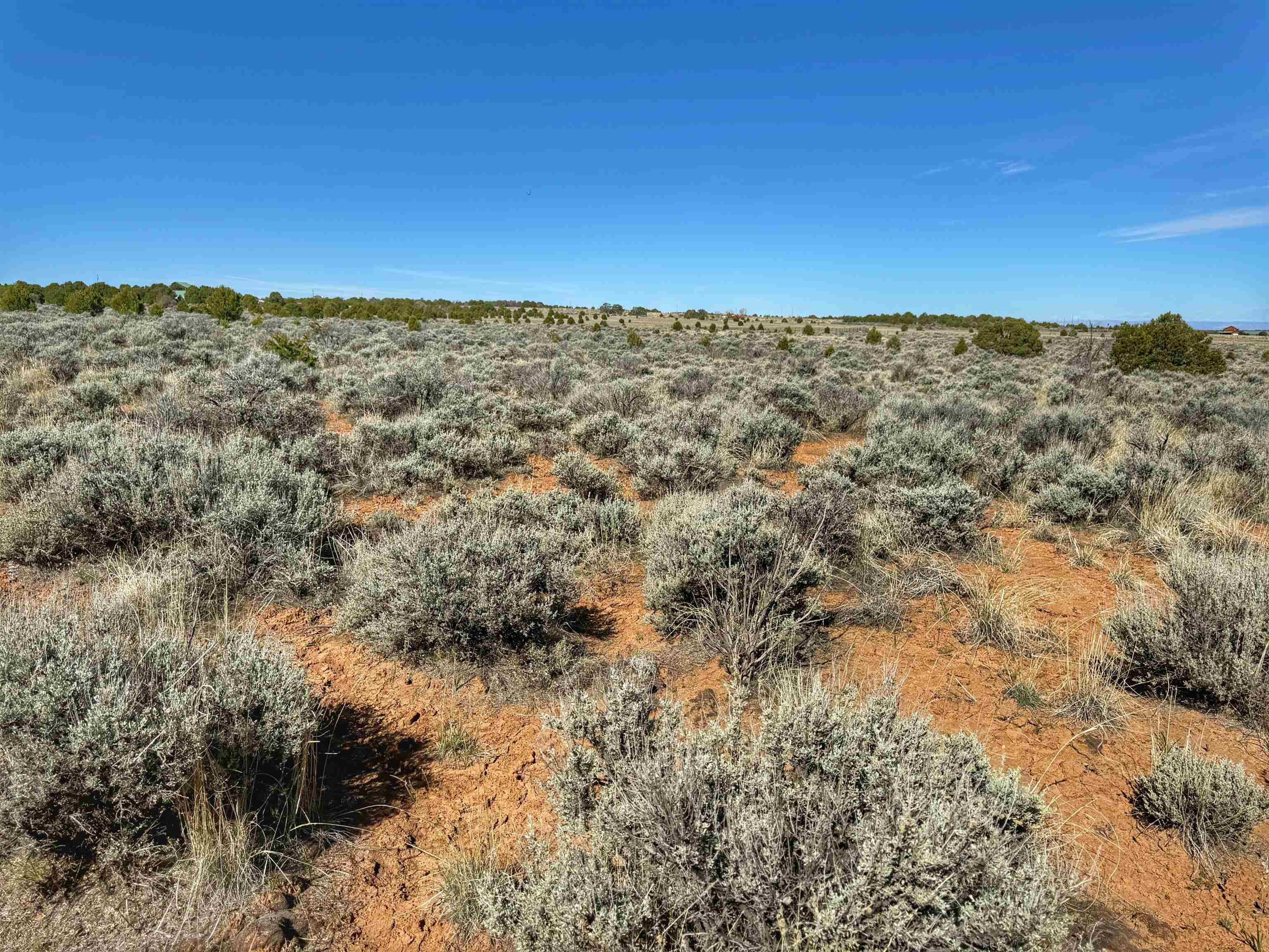 Tbd Tbd Bs Road Glade Park, CO 81523 - Photo 13 of 19 a view of city and mountain