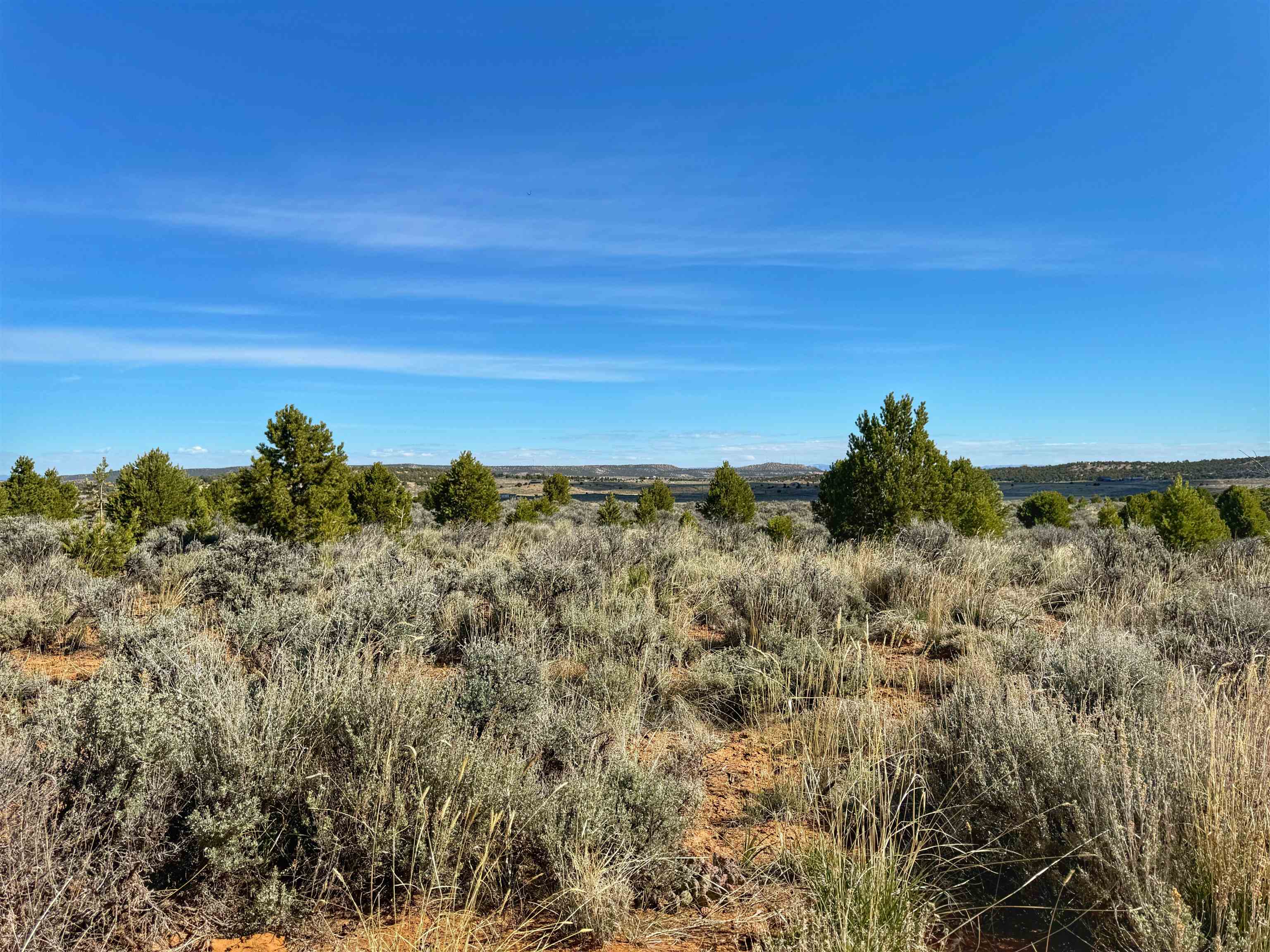 Tbd Tbd Bs Road Glade Park, CO 81523 - Photo 15 of 19 a view of a large body of water with a large tree in the background