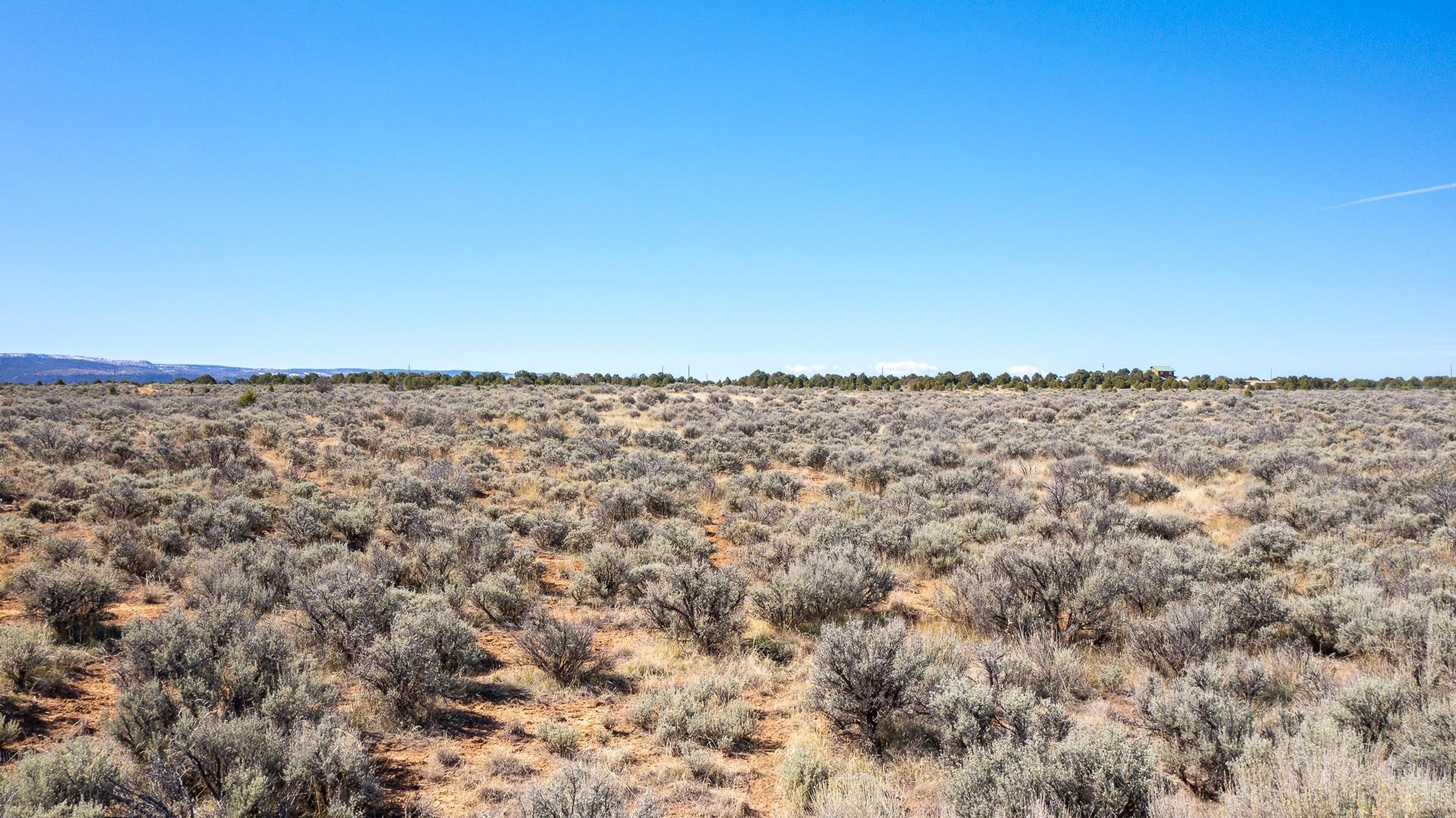 Tbd Tbd Bs Road Glade Park, CO 81523 - Photo 10 of 19 a view of an ocean