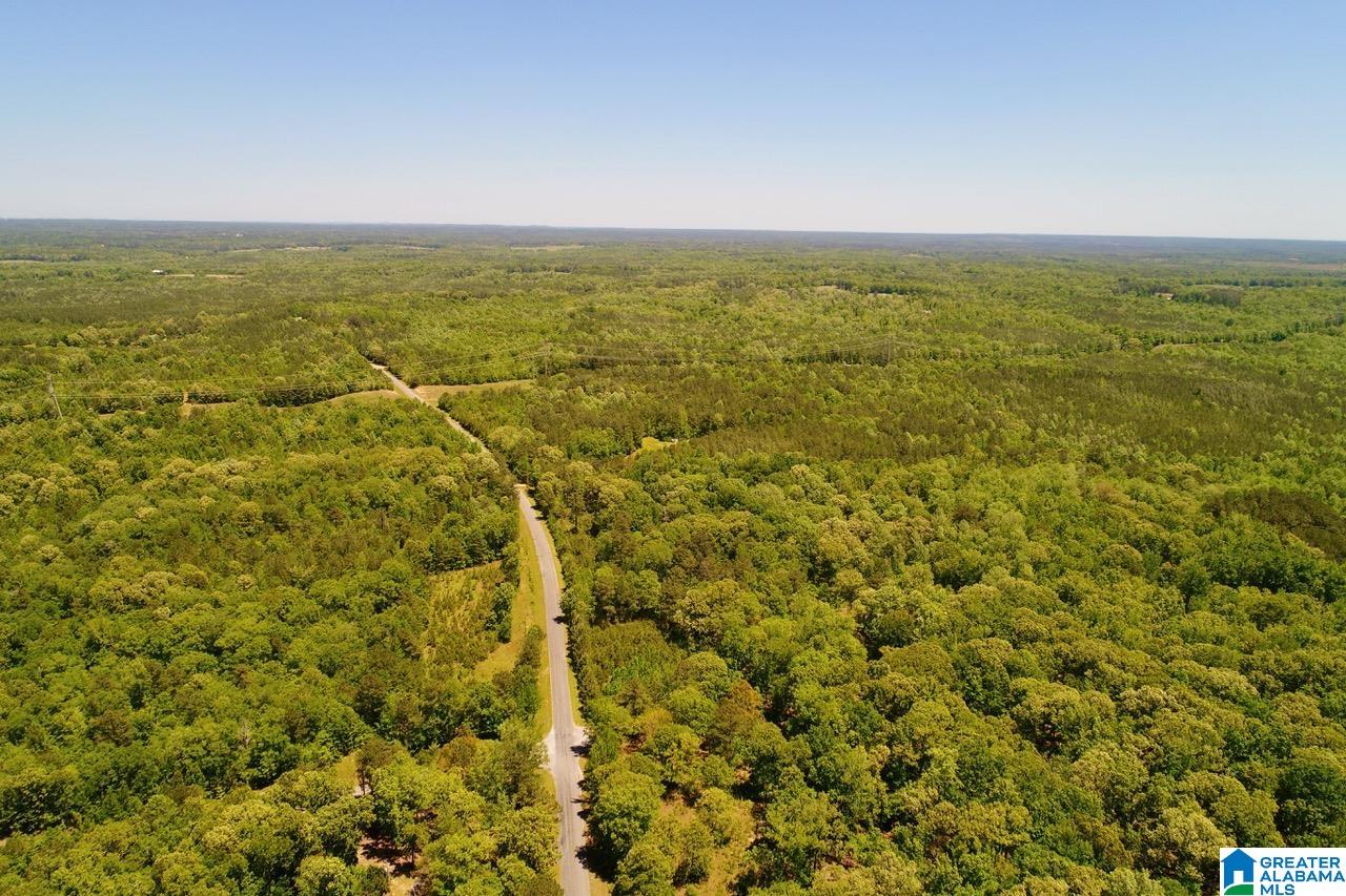 0 New Hope Village Road, Unit 4 Randolph, AL 36792 - Photo 4 of 4