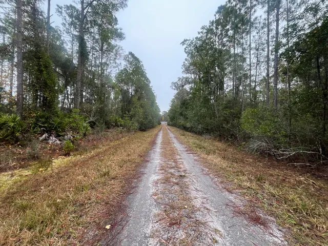 $11,399 | 222 Marie Avenue, Georgetown, FL 32139