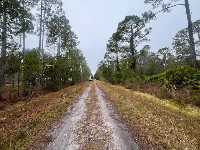 $11,399 | 222 Marie Avenue, Georgetown, FL 32139