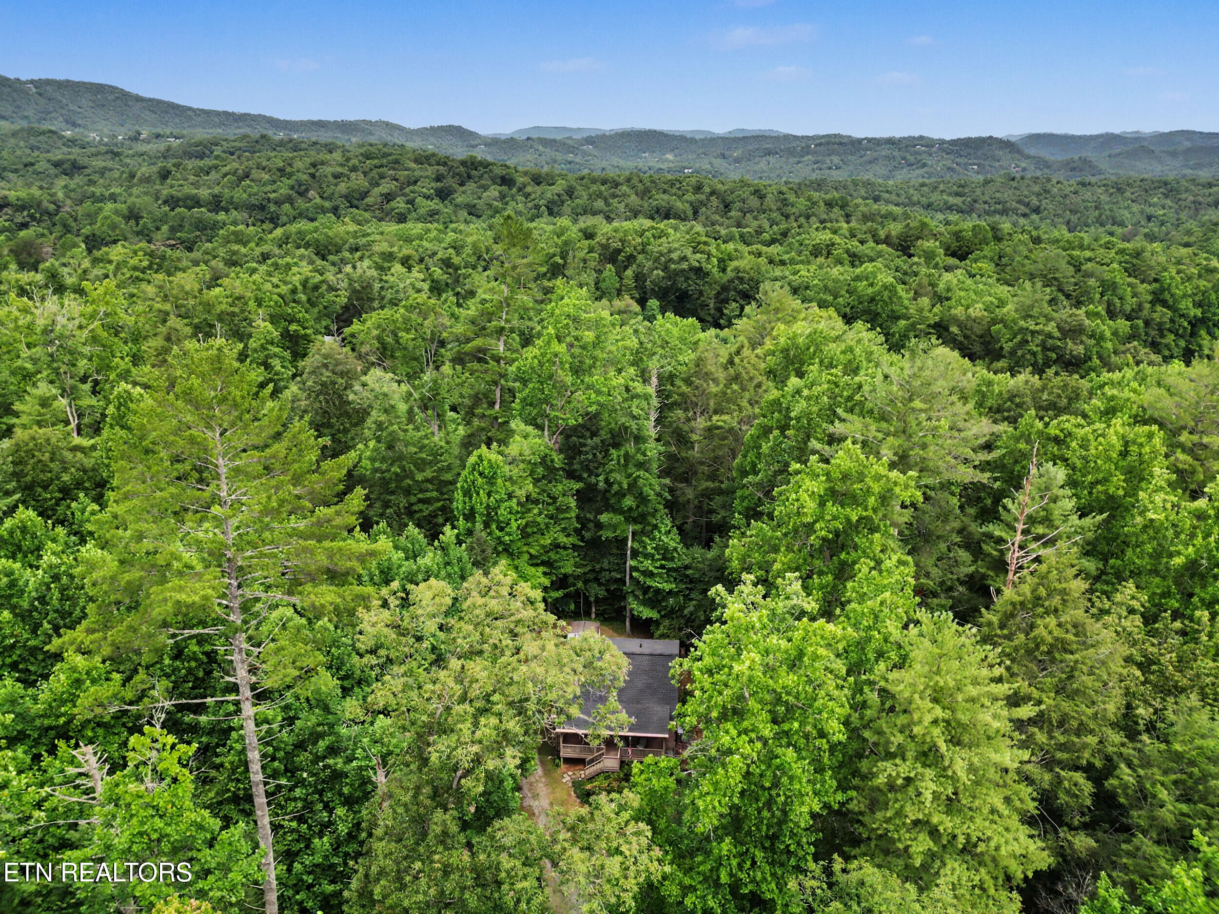 1006 Dry Valley Road Townsend, TN 37882 - Photo 51 of 54 50_dji_0089