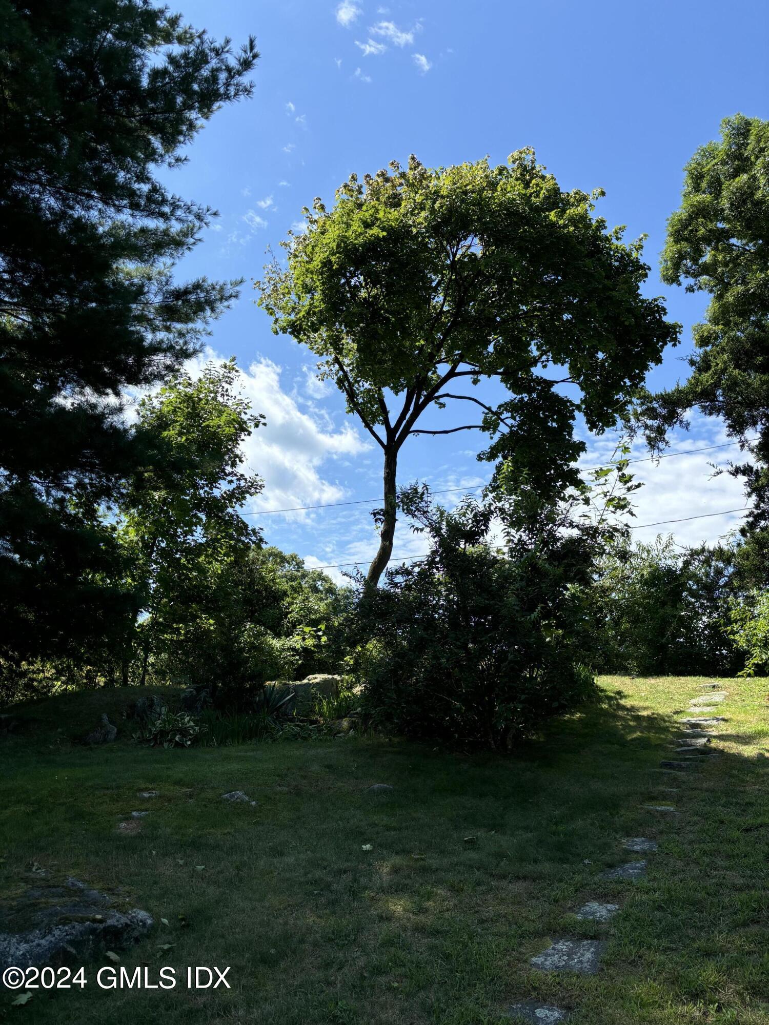 7 River Lane Cos Cob, CT 06807 - Photo 23 of 30 a view of a garden