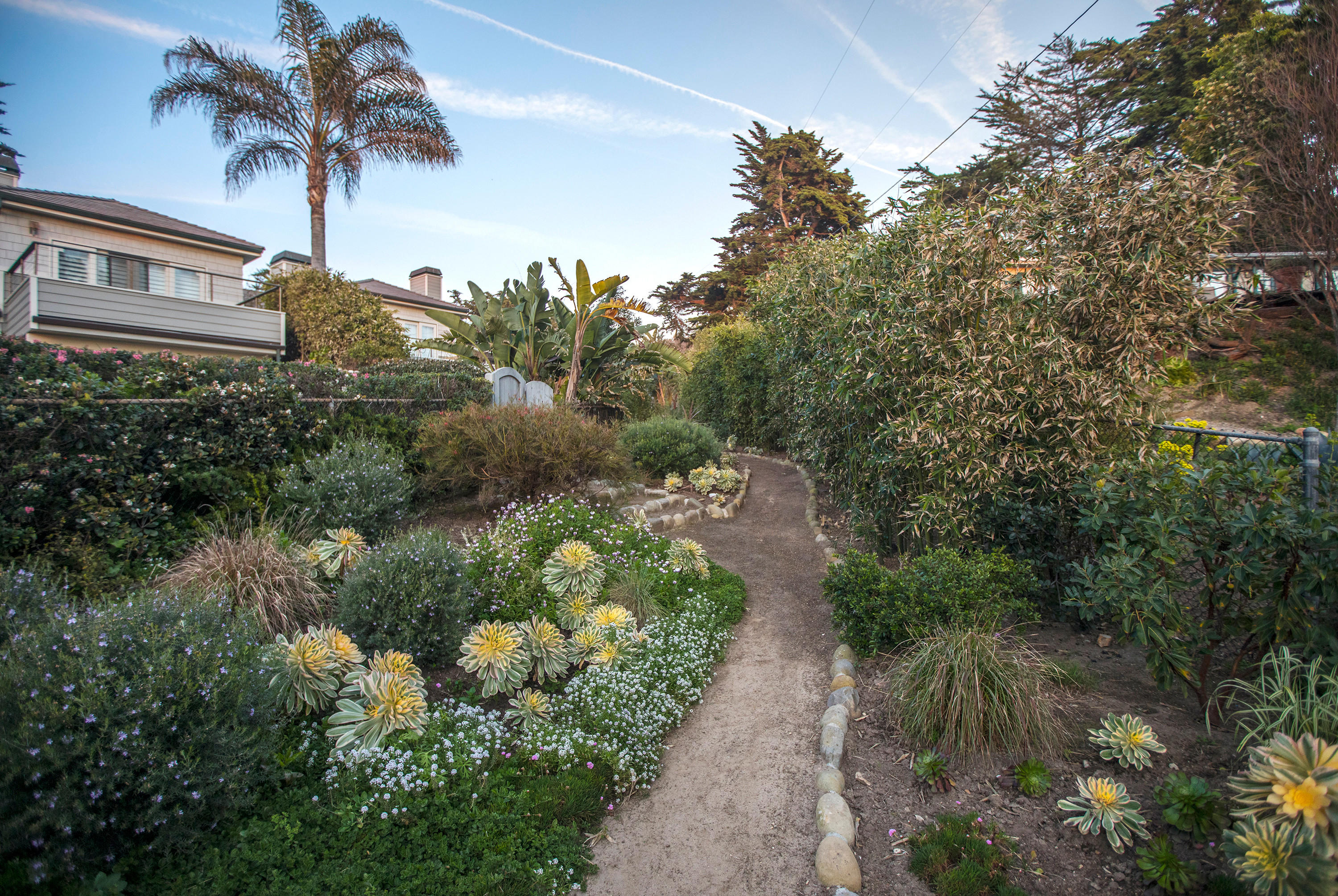 2 Rincon Point Lane Carpinteria, CA 93013 - Photo 24 of 31 a picture of plants