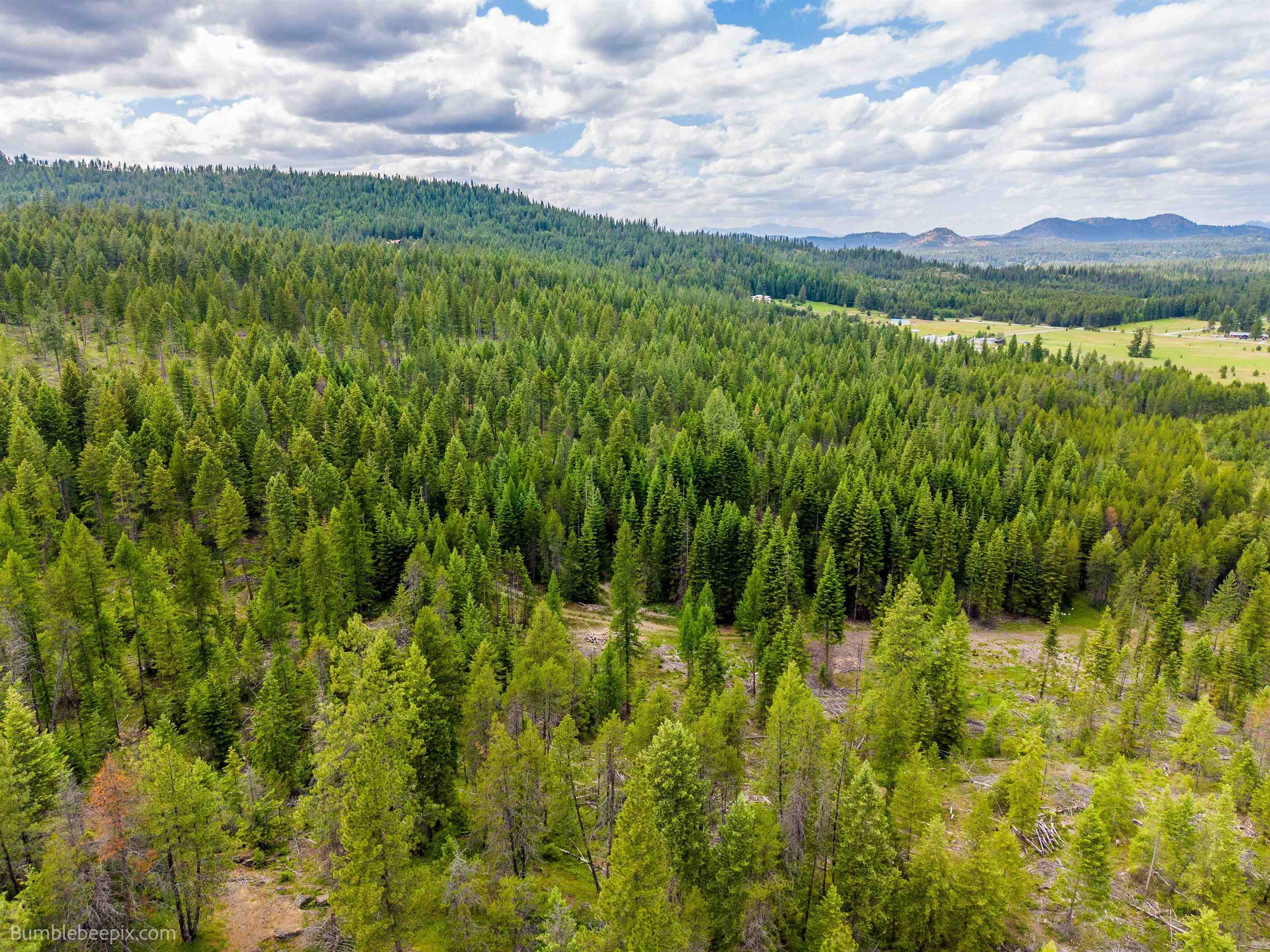 2902 Spring Valley Road Newport, WA 99156 - Photo 33 of 45