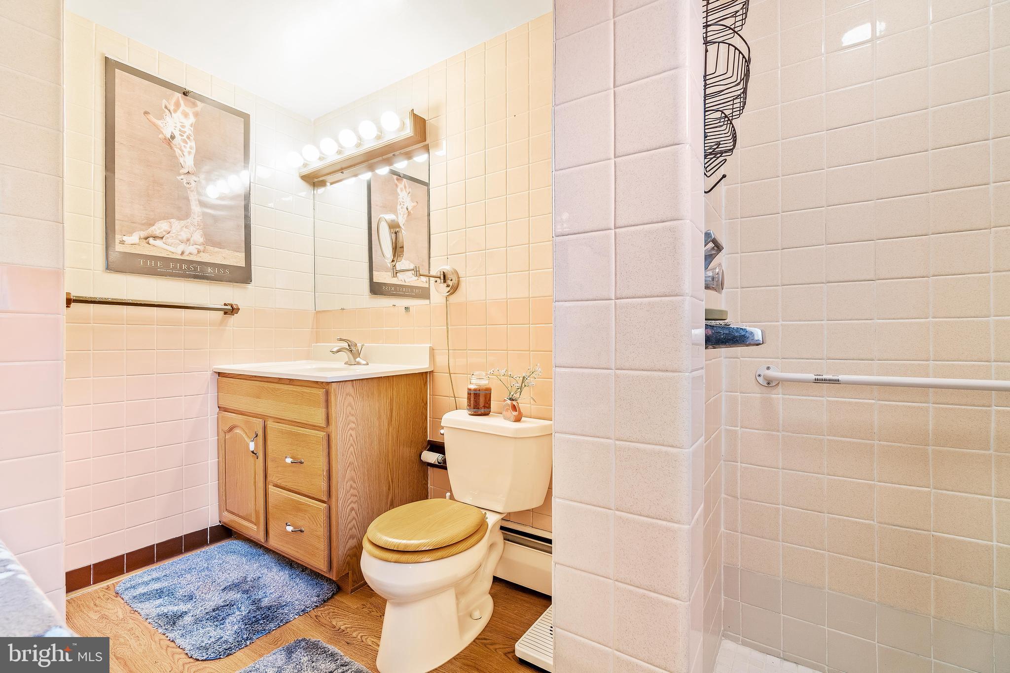 408 West Pearl Street Rising Sun, MD 21911 - Photo 19 of 39 Master Bath.