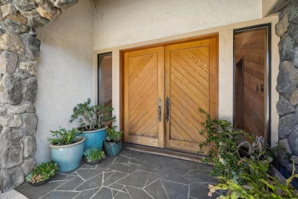 a potted plant sitting in front of a door