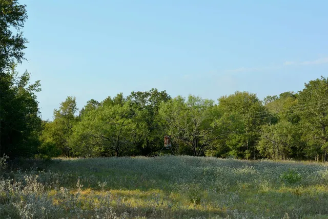 a view of a field with trees in background