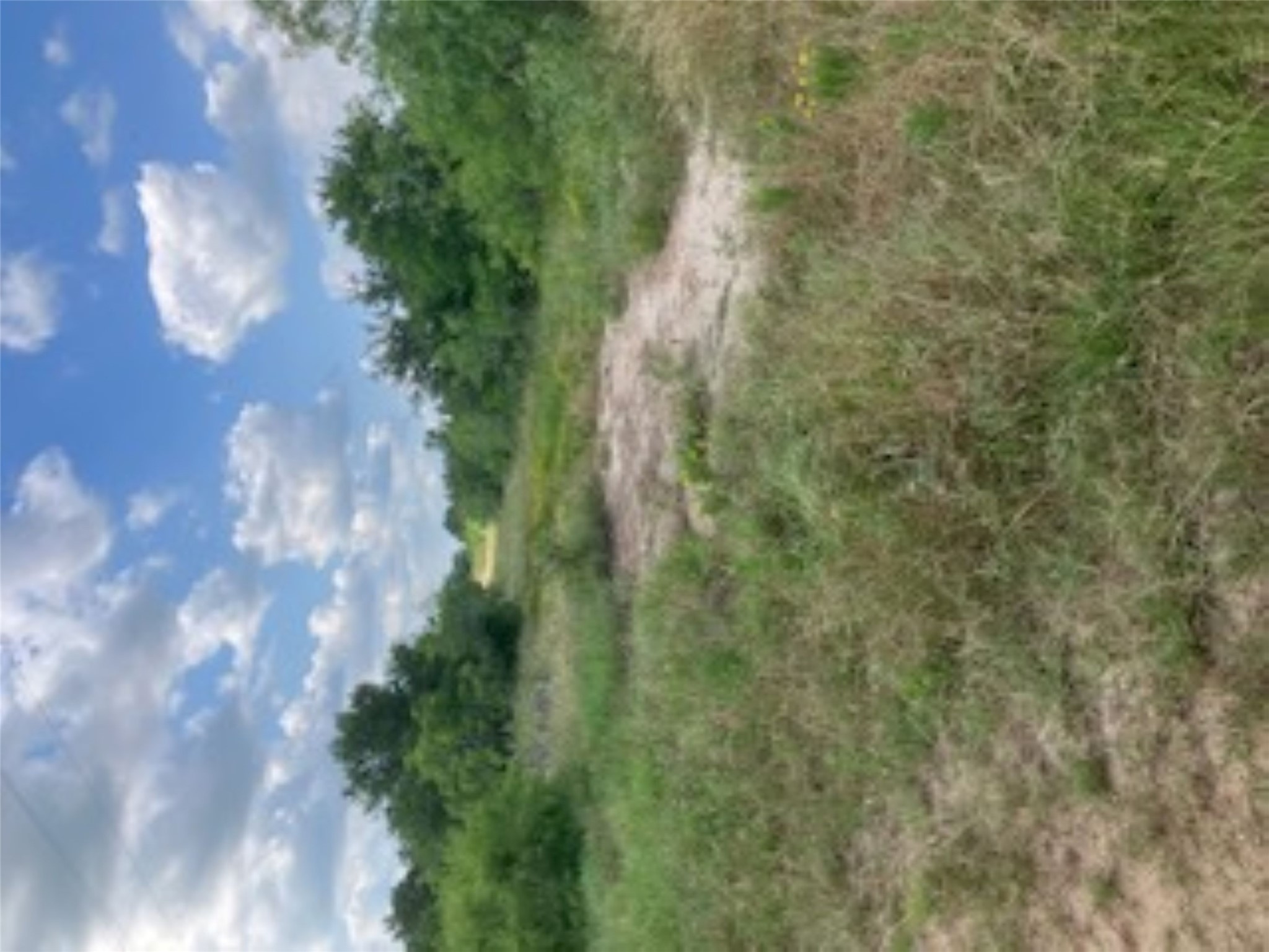 569 Burdette Wells Road Lockhart, TX 78644 - Photo 12 of 18 Pasture land