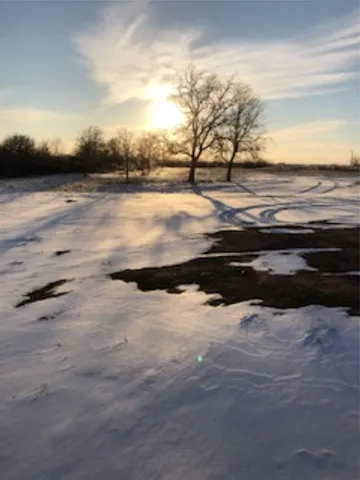 a view of an ocean beach