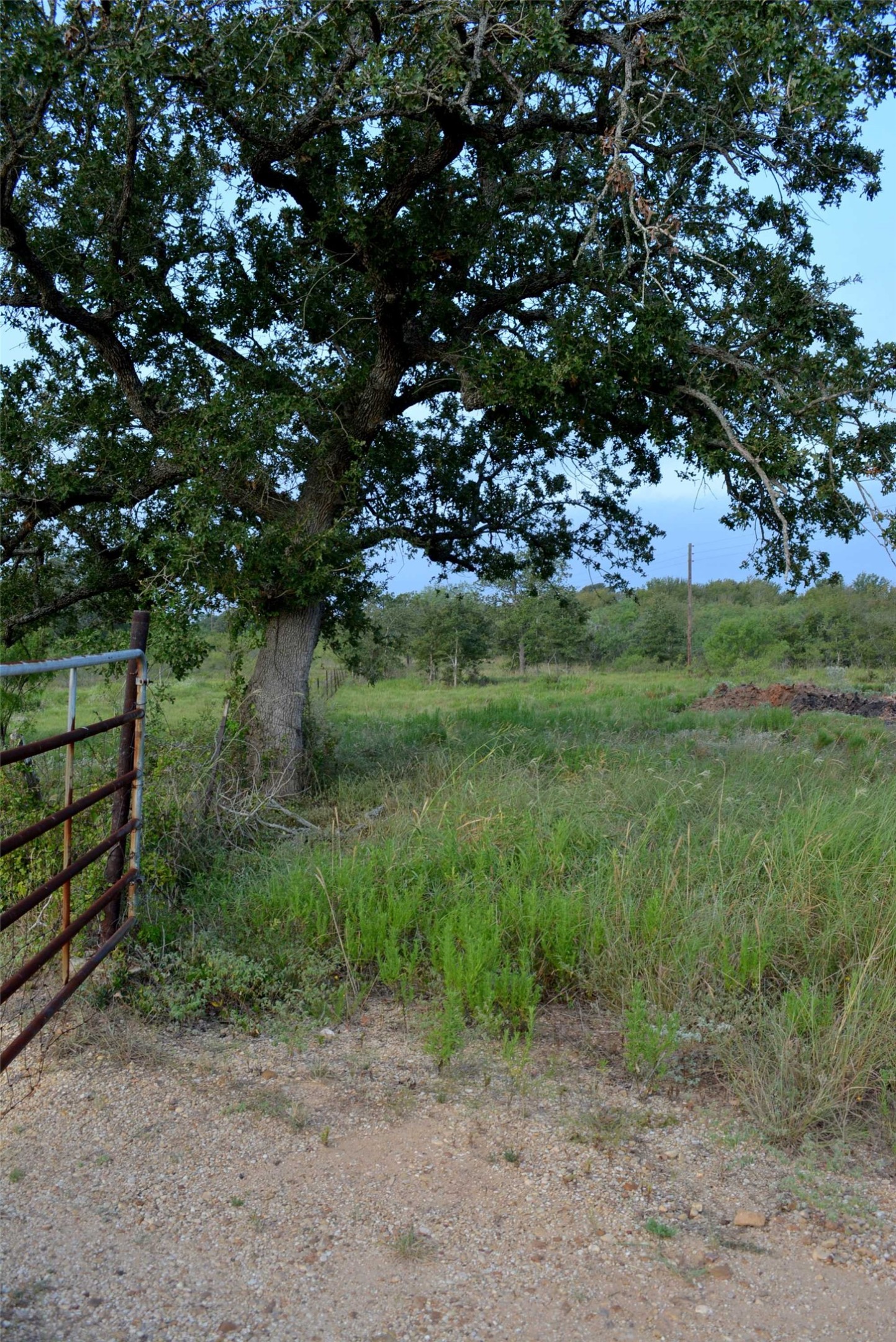 569 Burdette Wells Road Lockhart, TX 78644 - Photo 15 of 18 Back line gate