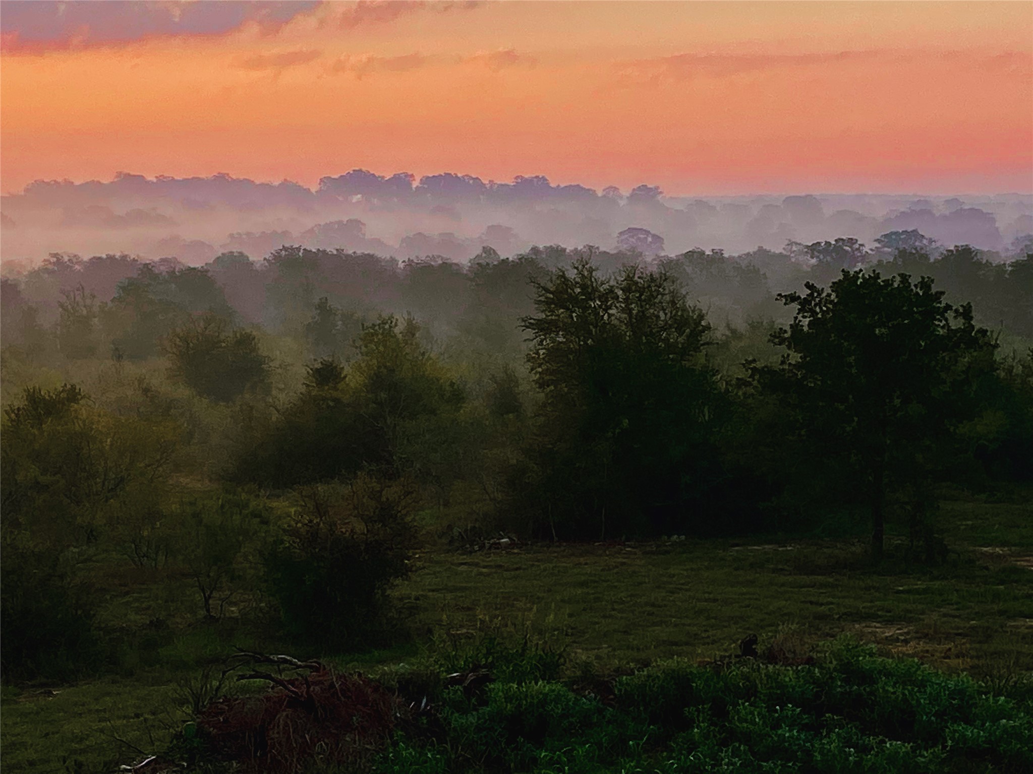 569 Burdette Wells Road Lockhart, TX 78644 - Photo 16 of 18 Sunset sky