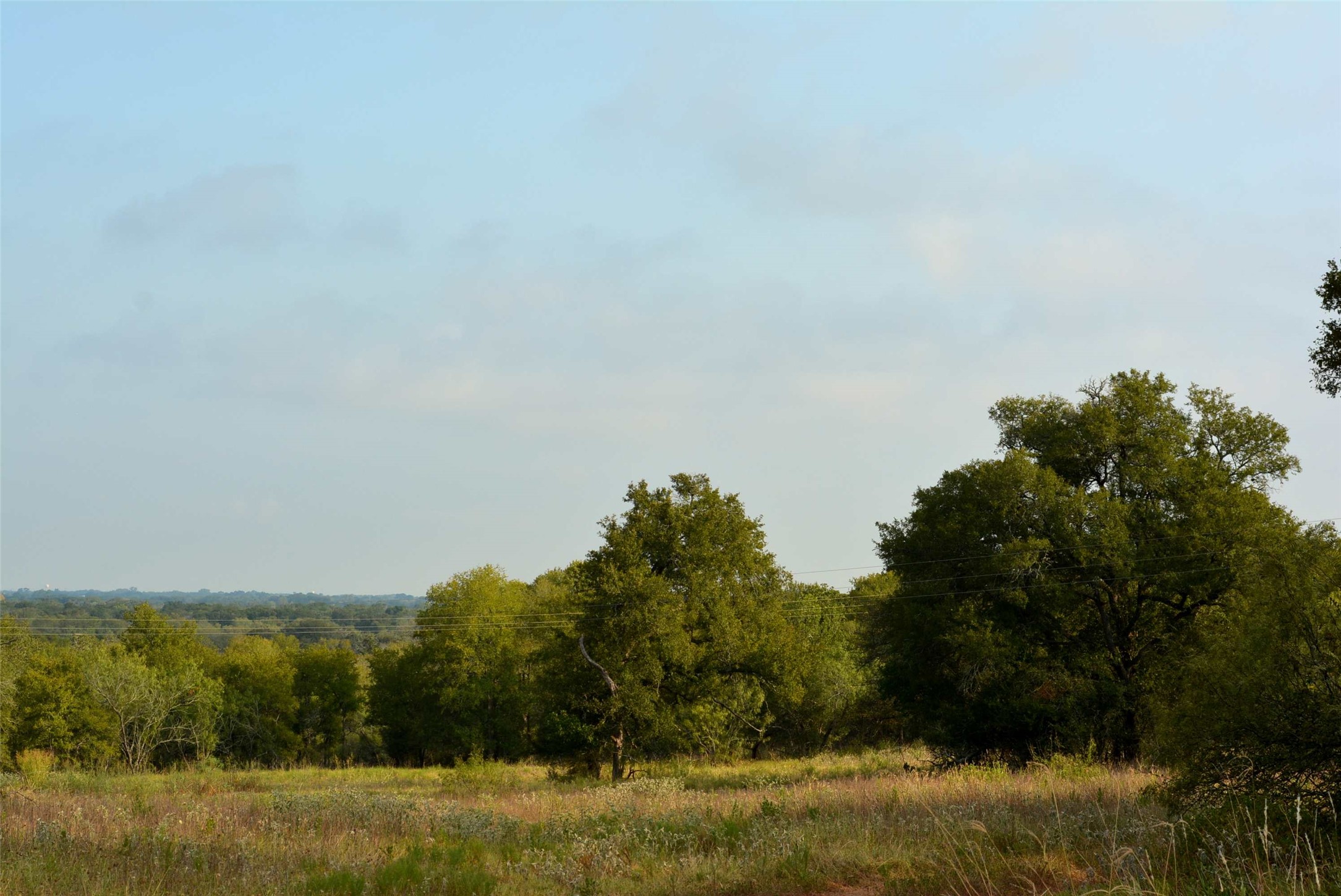 569 Burdette Wells Road Lockhart, TX 78644 - Photo 4 of 18 Panoramic broad view from property