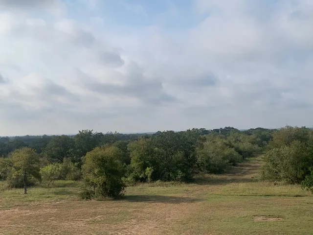 a view of a lake with houses in the back