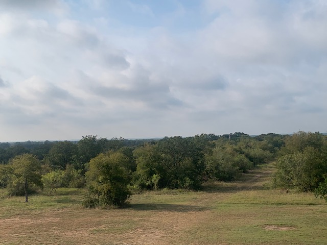 569 Burdette Wells Road Lockhart, TX 78644 - Photo 5 of 18 Skyline view from property
