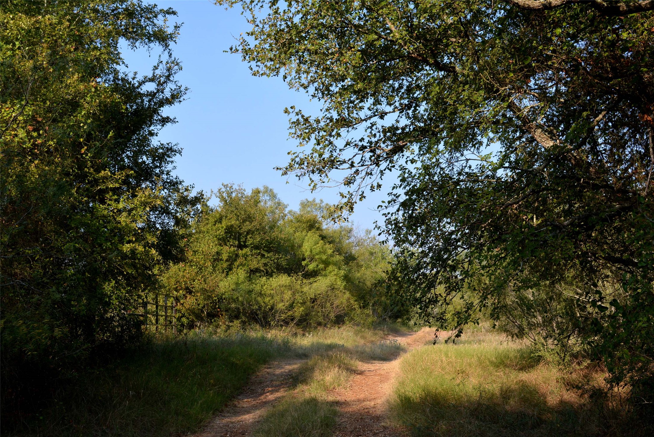569 Burdette Wells Road Lockhart, TX 78644 - Photo 6 of 18 Interior road through the property to the back line.