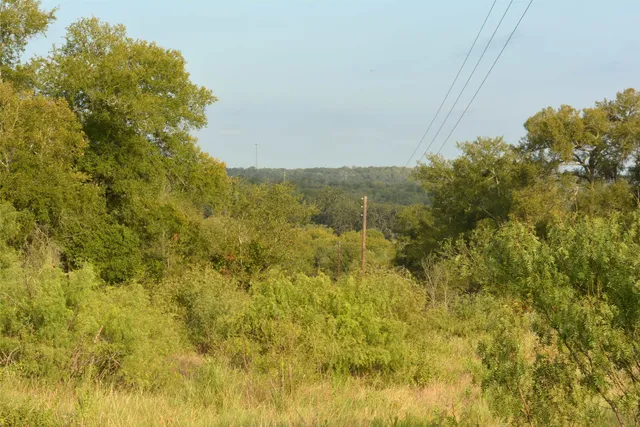 a view of a field of grass and trees