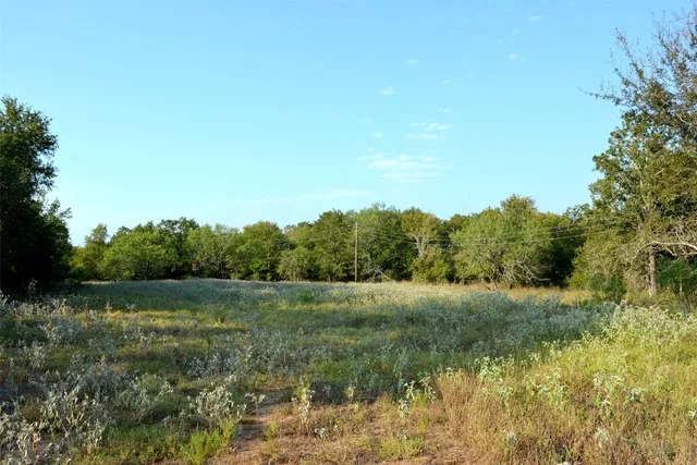 a view of grassy field with trees