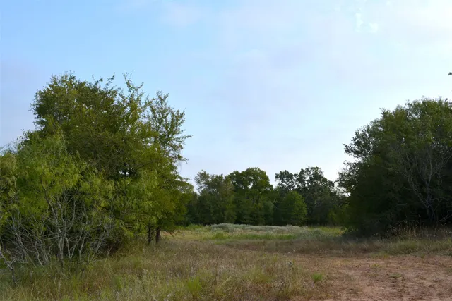 a view of a field with trees in background