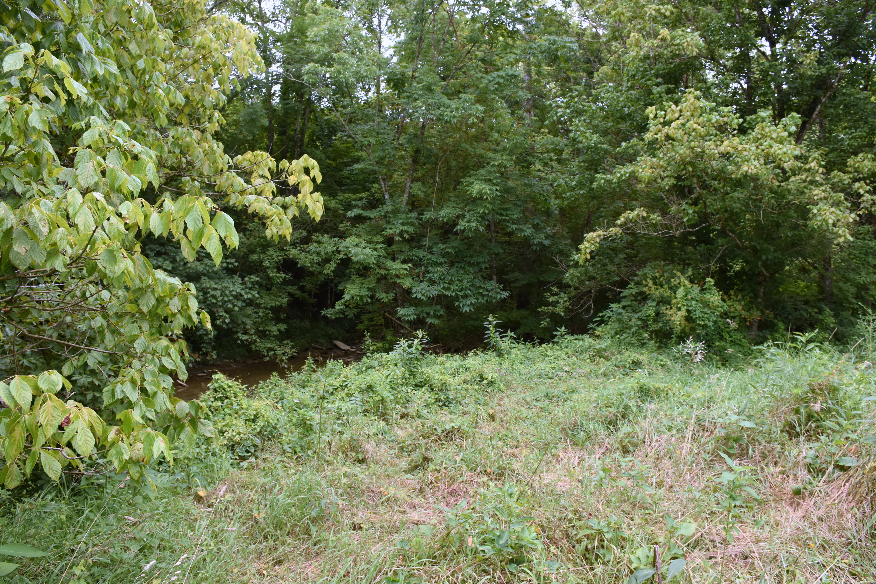 1540 Snag Creek Road Foster, KY 41043 - Photo 6 of 11