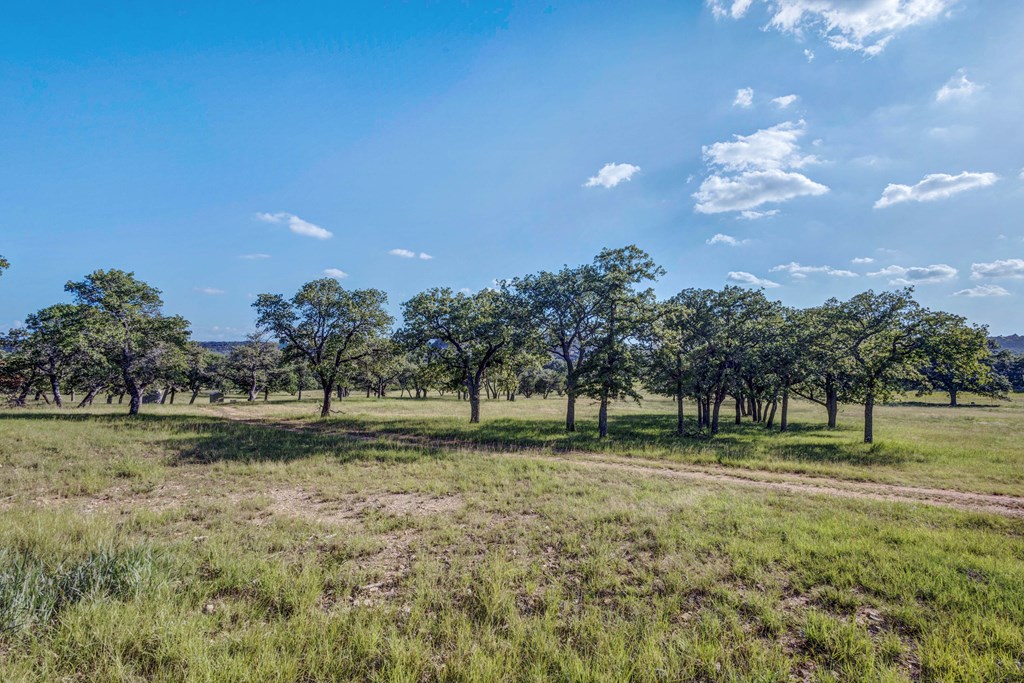 451 Achtzehn Road Fredericksburg, TX 78624 - Photo 9 of 11 a view of large trees with a big yard