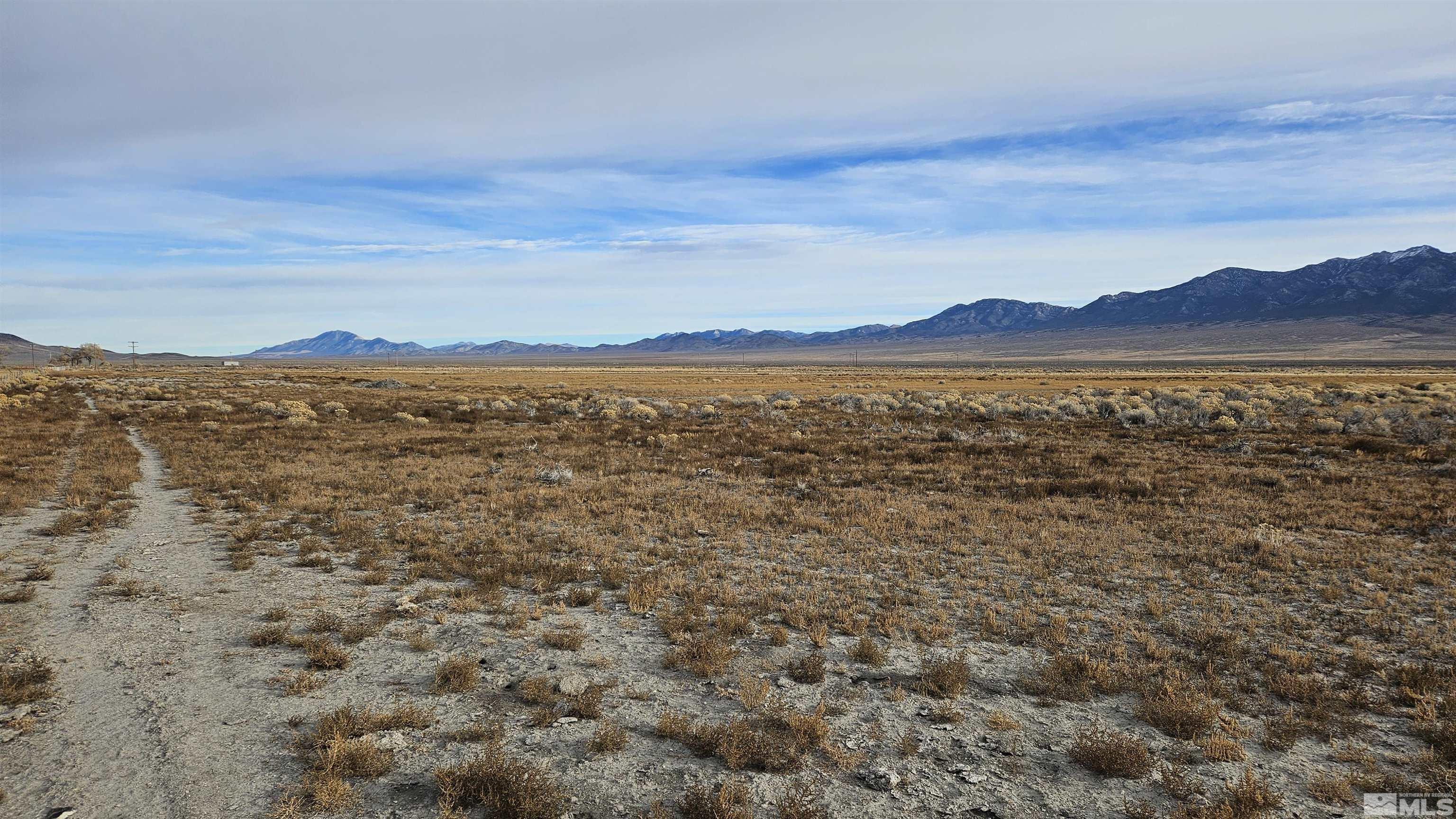 1173 Bradshaw Road Duckwater, NV 89314 - Photo 3 of 6 Photo 3