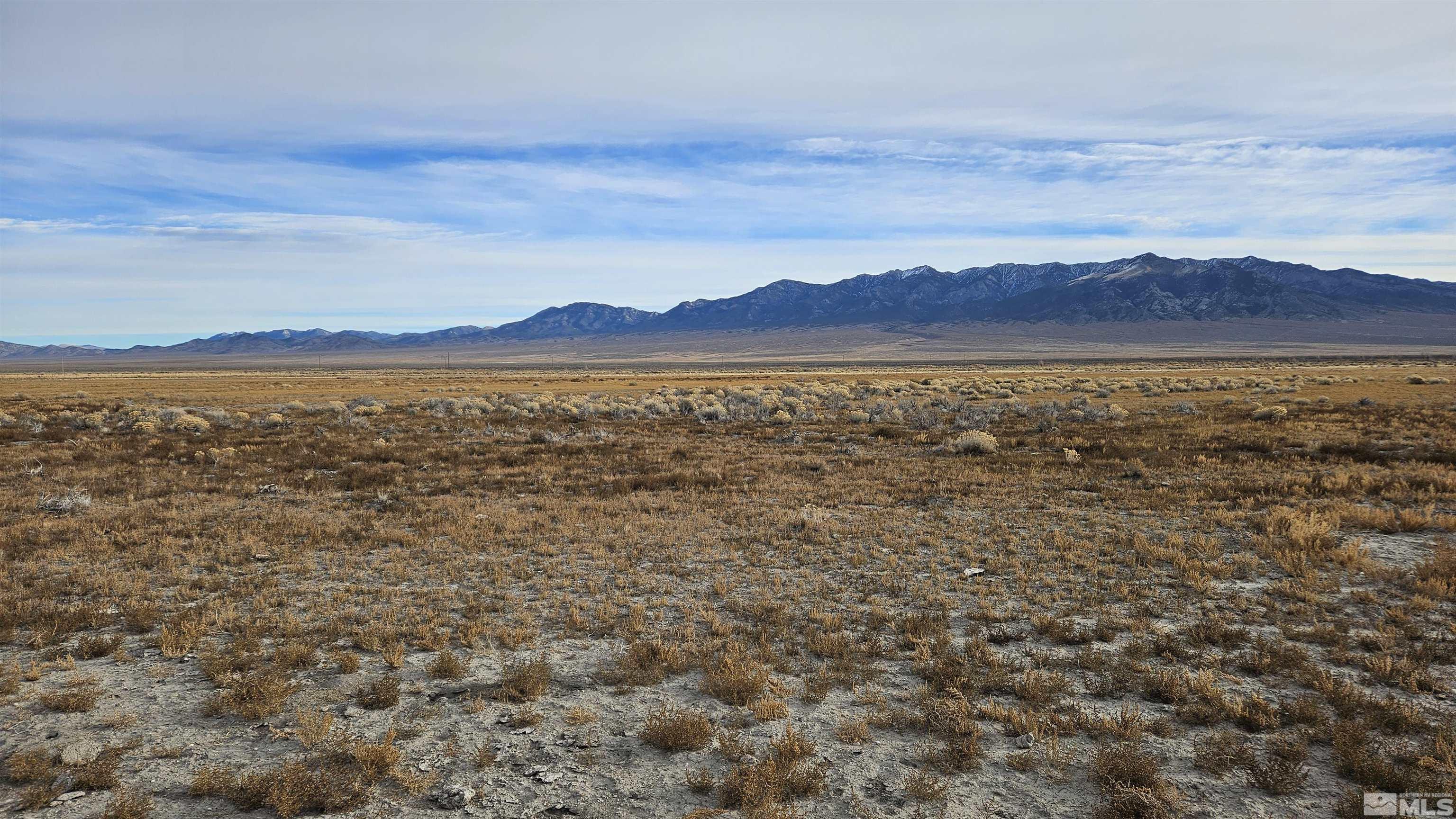 1173 Bradshaw Road Duckwater, NV 89314 - Photo 4 of 6 Photo 4