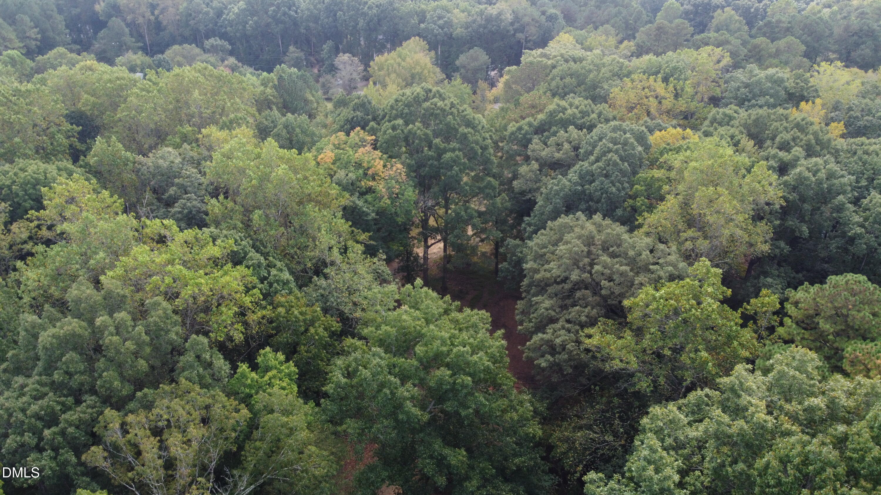 3028 Mt Vernon Church Road Raleigh, NC 27613 - Photo 12 of 13 an aerial view of residential house with outdoor space and trees all around