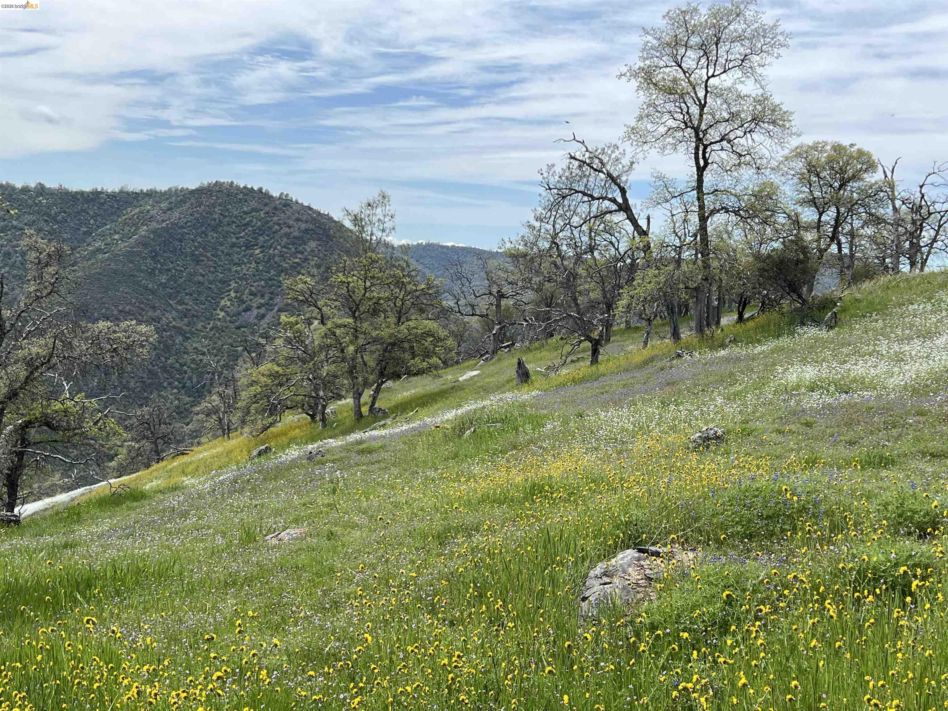 45-ac Powell Ranch Road Sonora, CA 95370 - Photo 23 of 24 a view of outdoor space and yard
