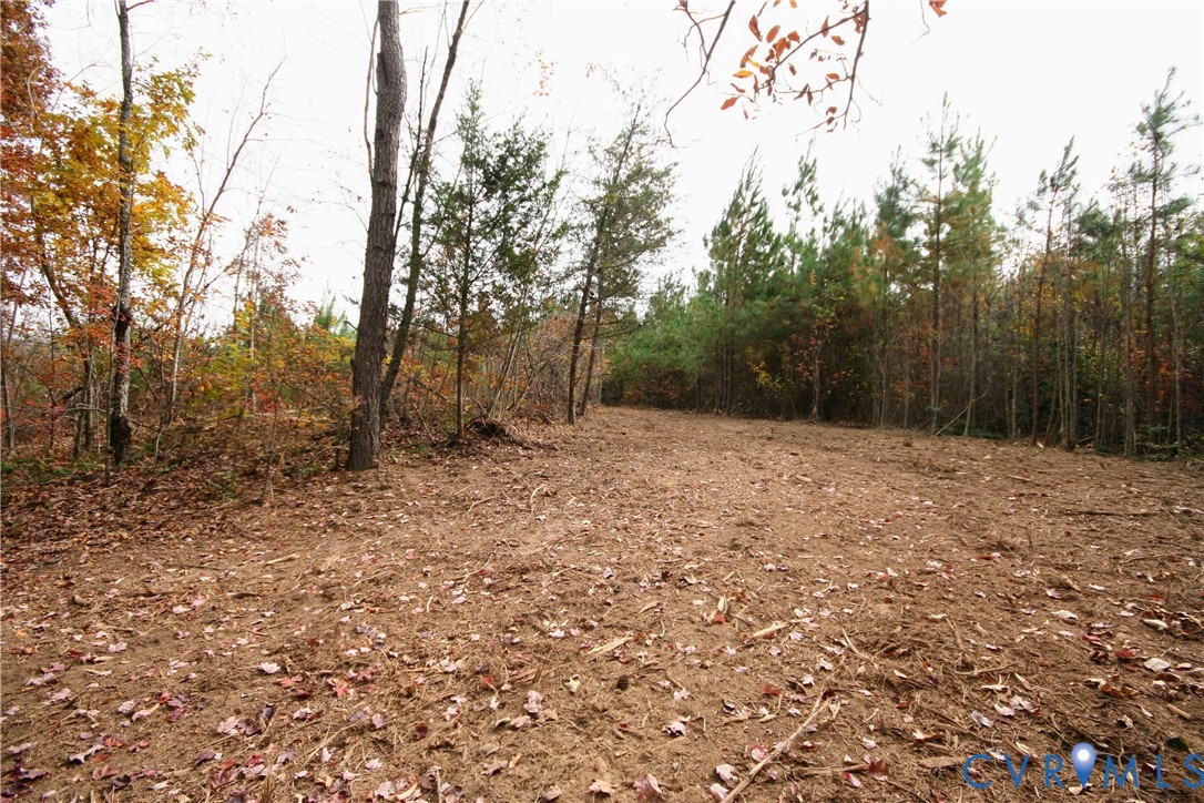 0 Ridge Road Arvonia, VA 23004 - Photo 27 of 50