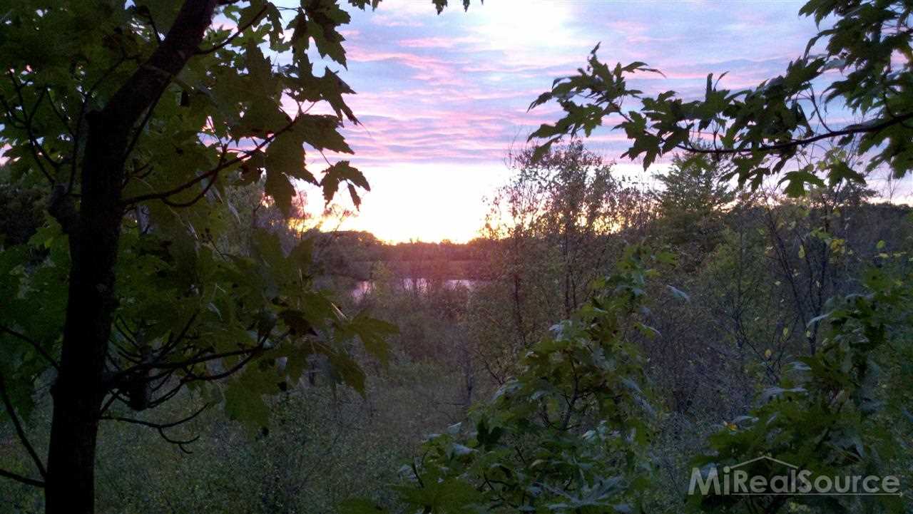 4200 Martin Capac, MI 48014 - Photo 21 of 30 This is a view from the property.