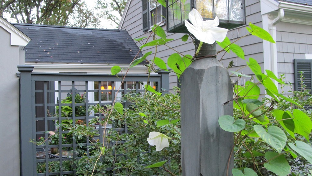 20 Juniper Ridge Road Westwood, MA 02090 - Photo 2 of 30 Gallery Image 2