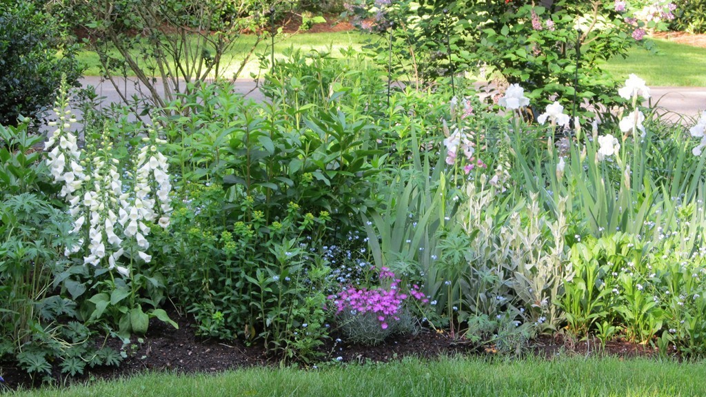 20 Juniper Ridge Road Westwood, MA 02090 - Photo 29 of 30 Gallery Image 29