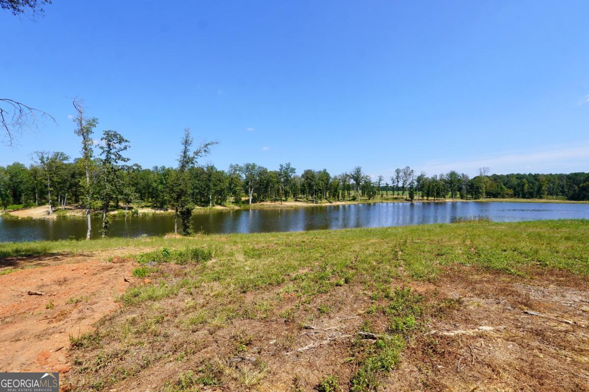 0 Walters Road, Unit TRACT 2 Barnesville, GA 30204 - Photo 2 of 6