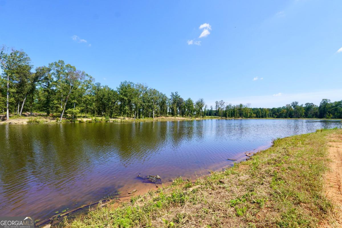 0 Walters Road, Unit TRACT 2 Barnesville, GA 30204 - Photo 3 of 6